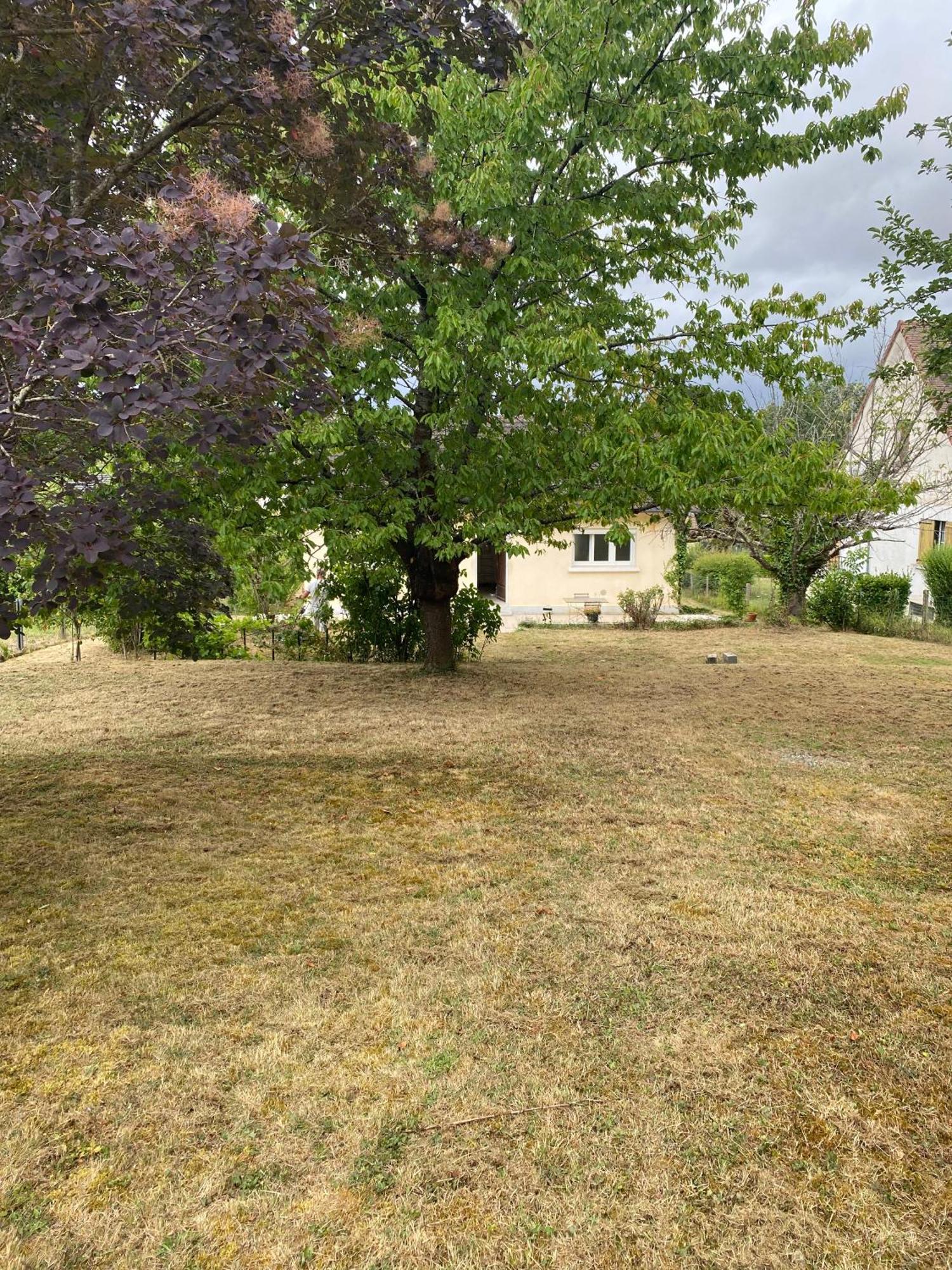 Au Calme - Maison Avec Grand Jardin - Proche Zoo De Beauval Vicq-sur-Nahon Extérieur photo